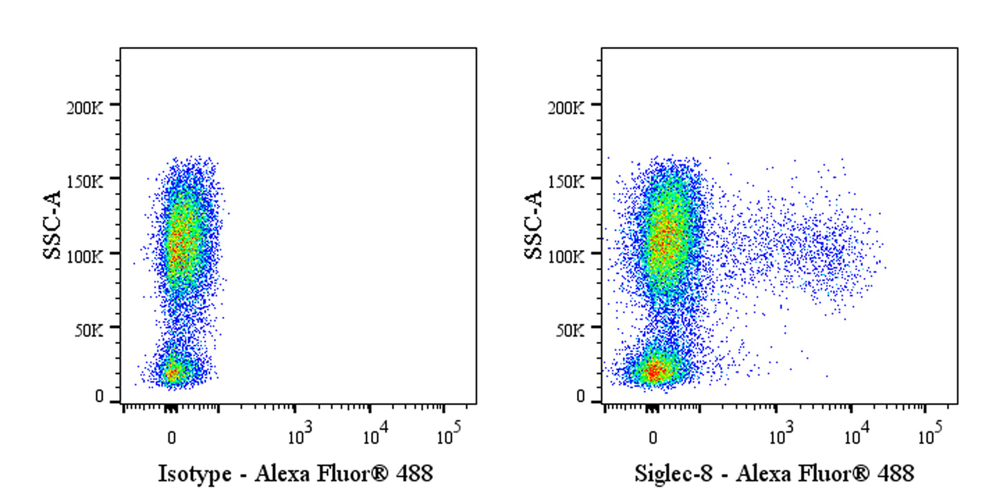 Alexa Fluor® 488 Mouse Anti-Human Siglec-8 Antibody (S-4479)
