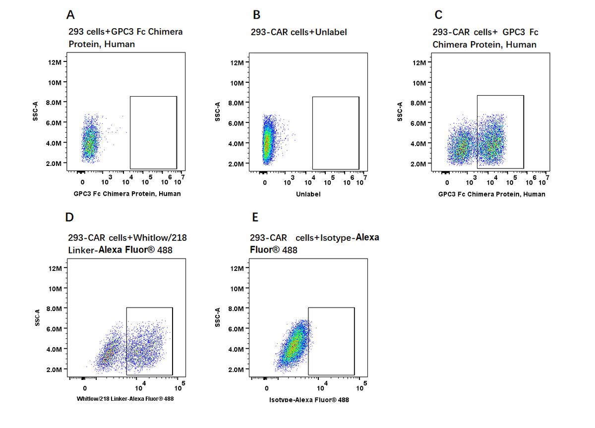 GPC3 Fc Chimera Protein, Human