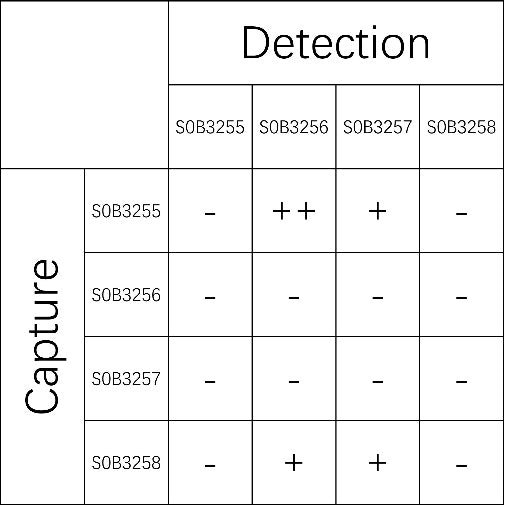 KIM-1 Recombinant Rabbit mAb (SDT-932-55)