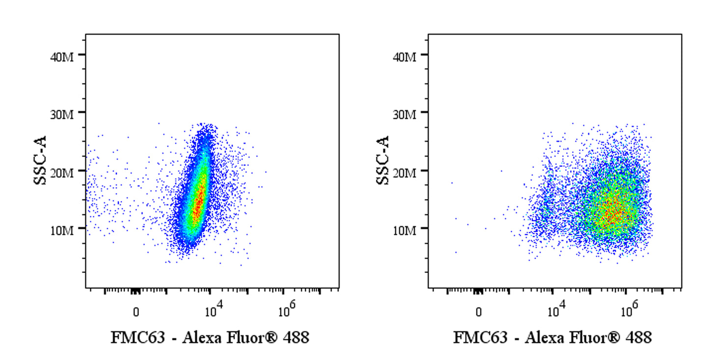 Anti-FMC63 Recombinant Rabbit mAb (S-2163-30)