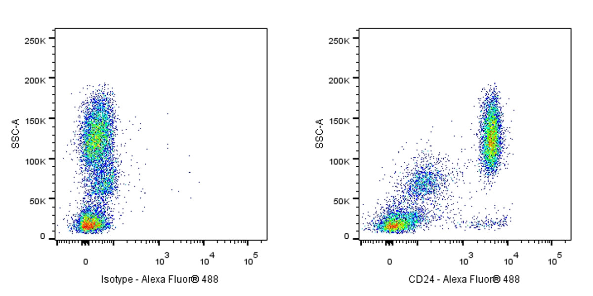 Mouse Anti-Human CD24 Antibody (ML5)