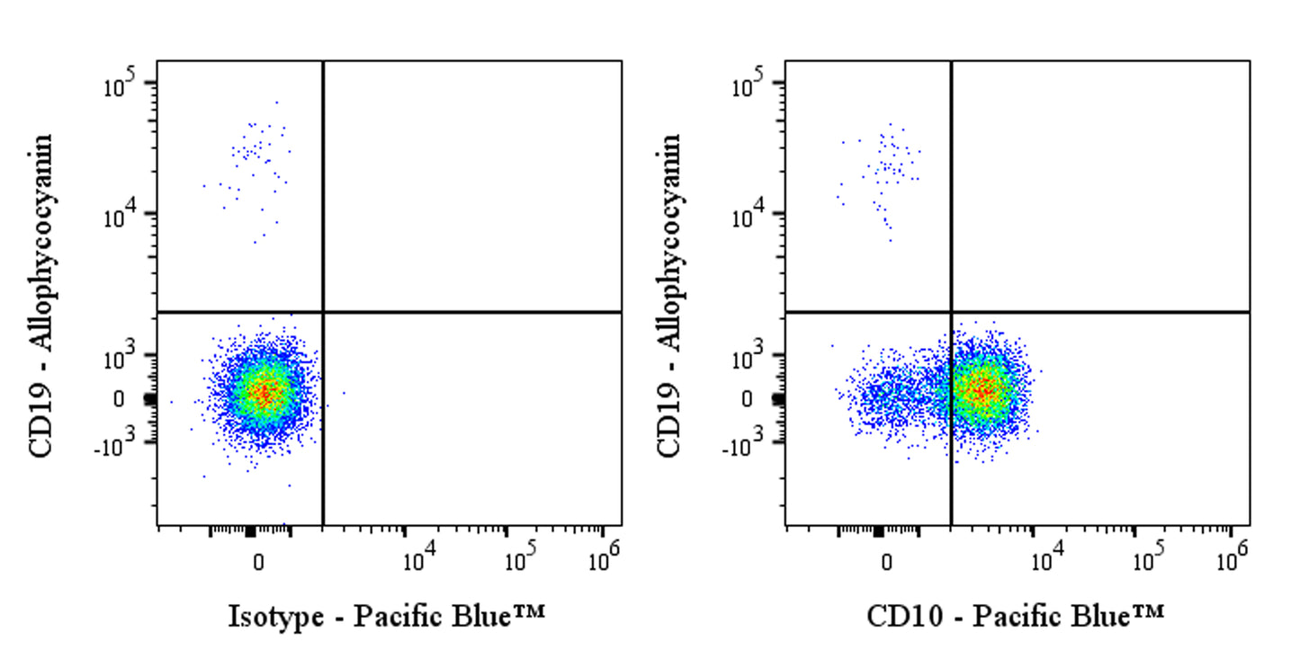 Pacific Blue Mouse Anti-Human CD10 Antibody (S-713-5)