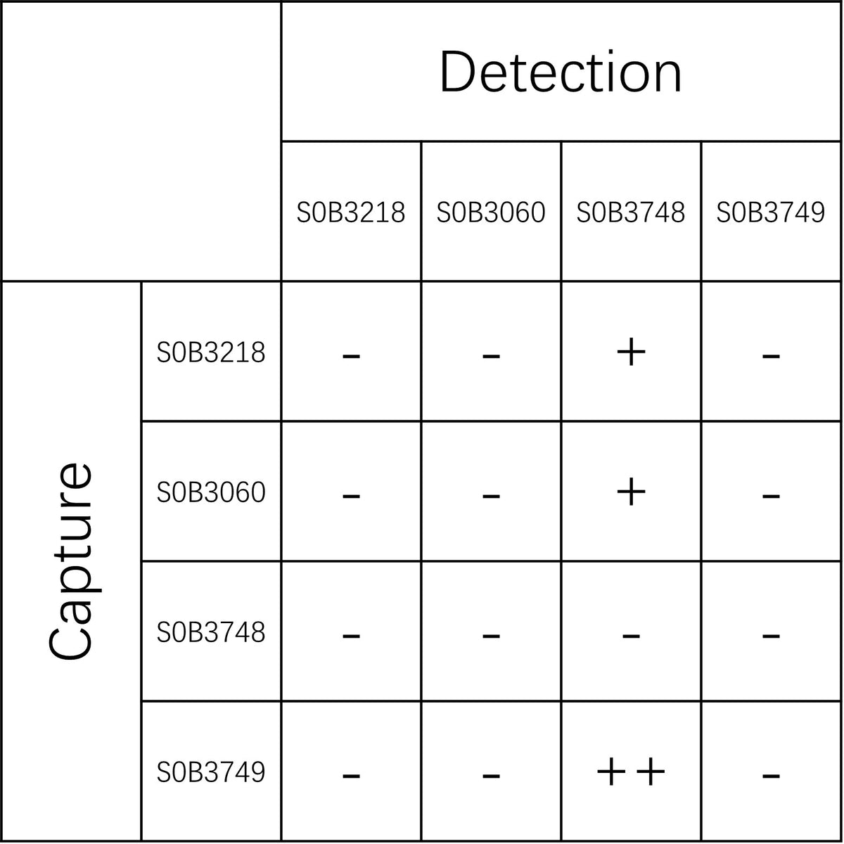 Tau Recombinant Rabbit mAb (SDT-3699-162)