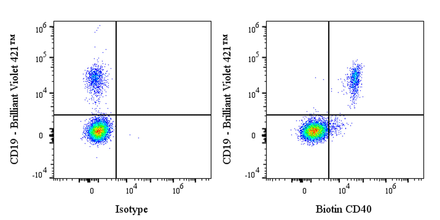 Biotin Rabbit Anti-Human CD40 Antibody (S-145-45)