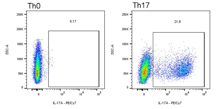 Th17 Polarization Kit, Human