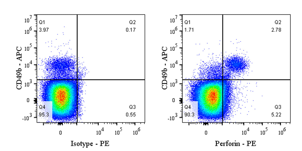 PE Rat Anti-Mouse Perforin Antibody (S-R644)