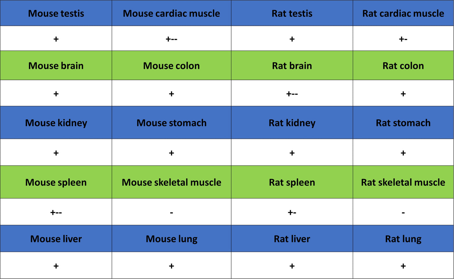 Tug Recombinant Rabbit mAb (S-4377-21)