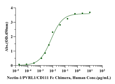 Nectin-1/PVRL1/CD111 Fc Chimera Protein, Human