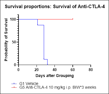 Invivo anti-mouse CTLA-4 (CD152) mAb