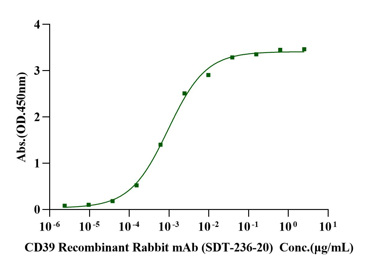 CD39/ENTPD1 His Tag Protein, Human