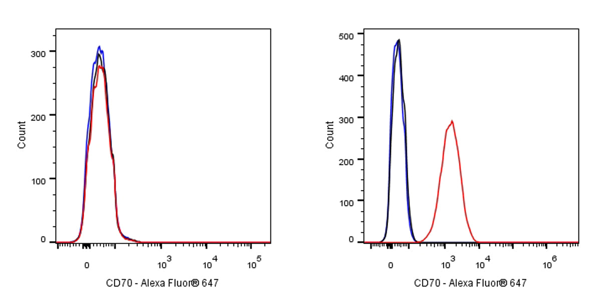 Mouse Anti-Human CD70 Antibody (Ki-24)