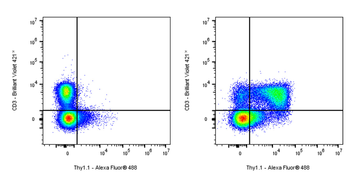Mouse Anti-Mouse Thy1.1 (CD90.1) Antibody (S-3781)
