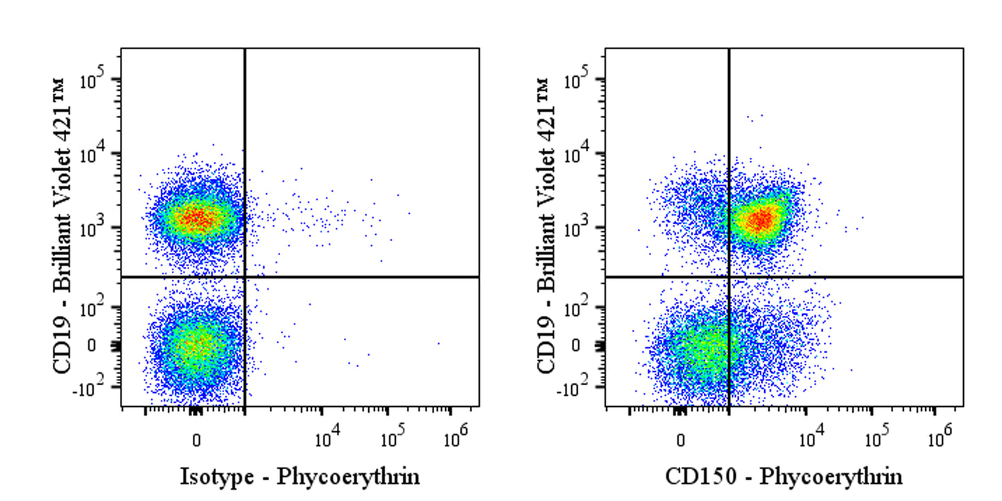 PE Rat Anti-Mouse CD150 Antibody (S-R738)