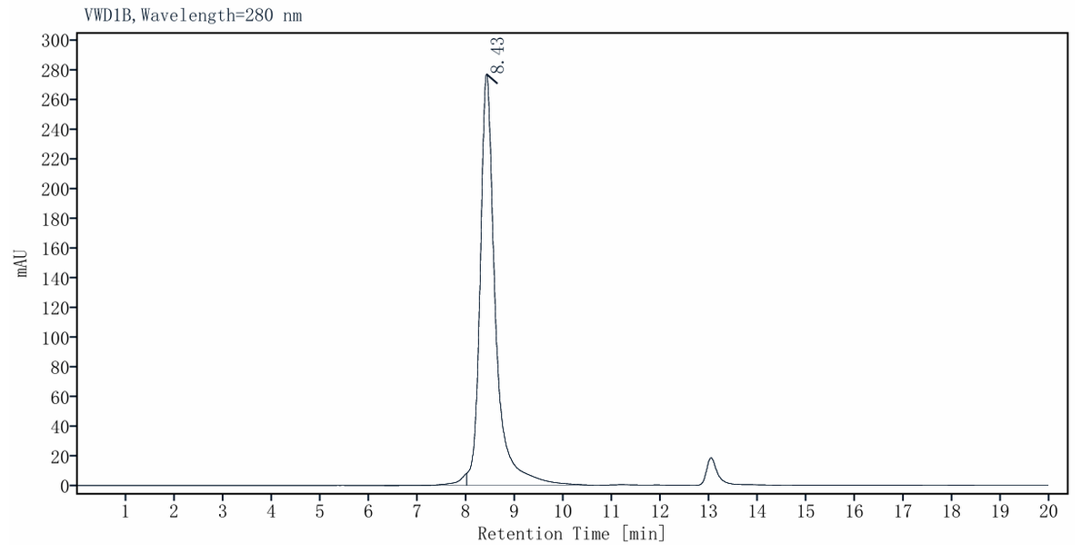ACSS2 His Tag Protein, Human