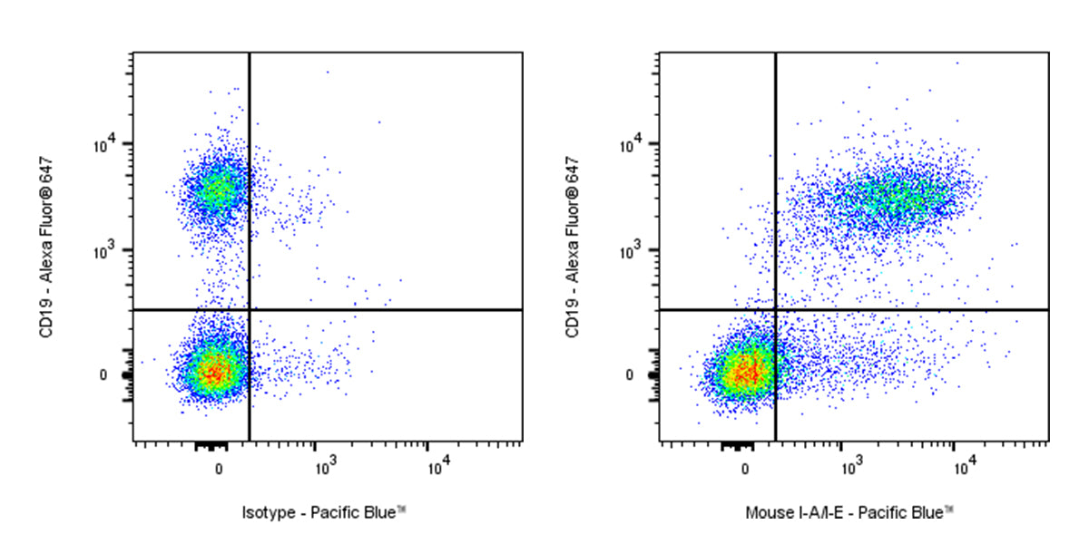 Pacific Blue Rat Anti-Mouse I-A/I-E Antibody (M5/114.15.2)