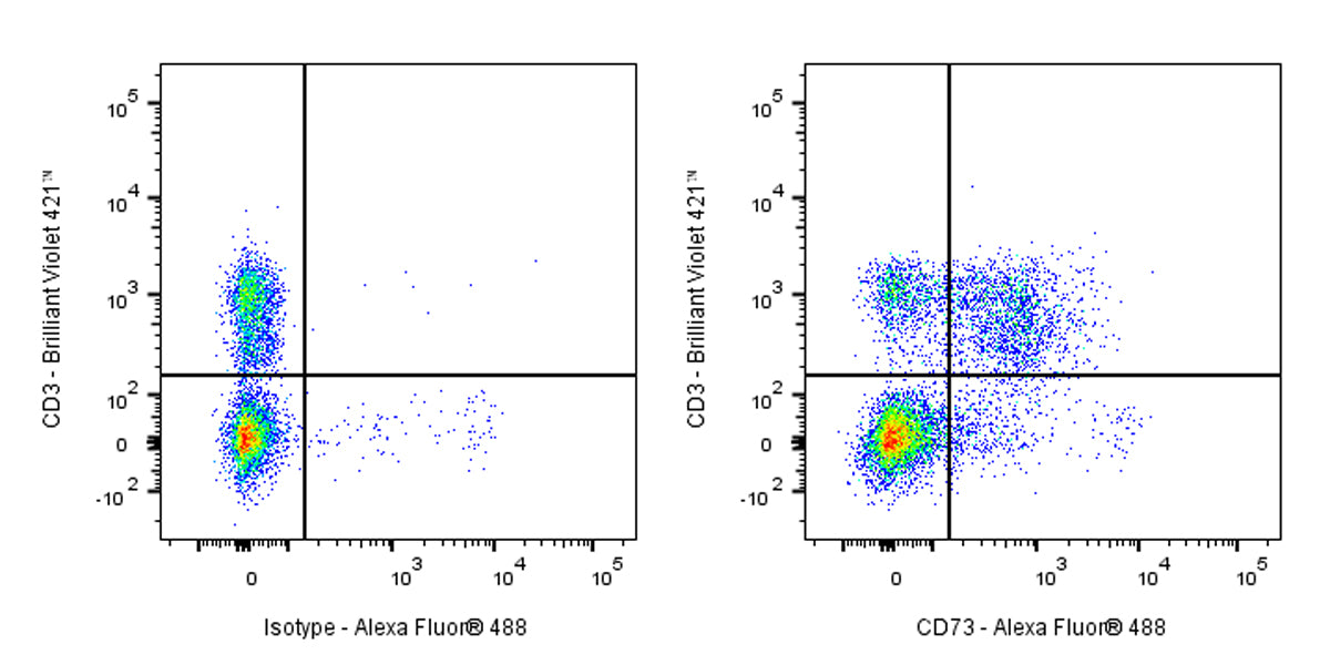 Rat Anti-Mouse CD73 Antibody (S-R636)