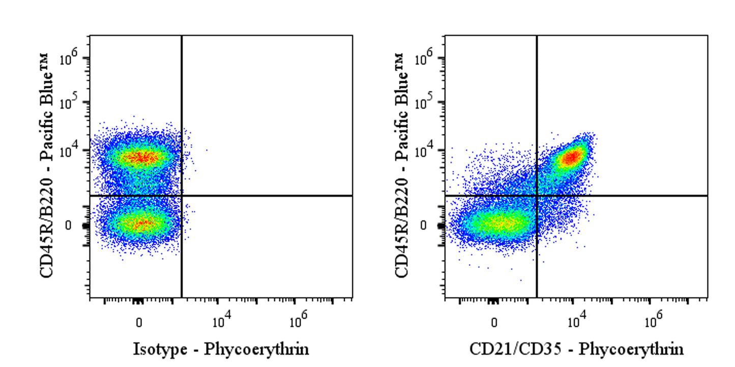 PE Rat Anti-Mouse CD21/CD35 Antibody (7E9)
