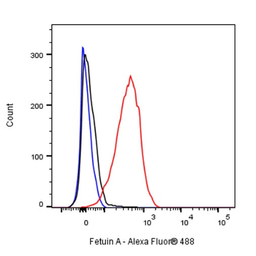 Fetuin A Recombinant Rabbit mAb (S-1109-5)