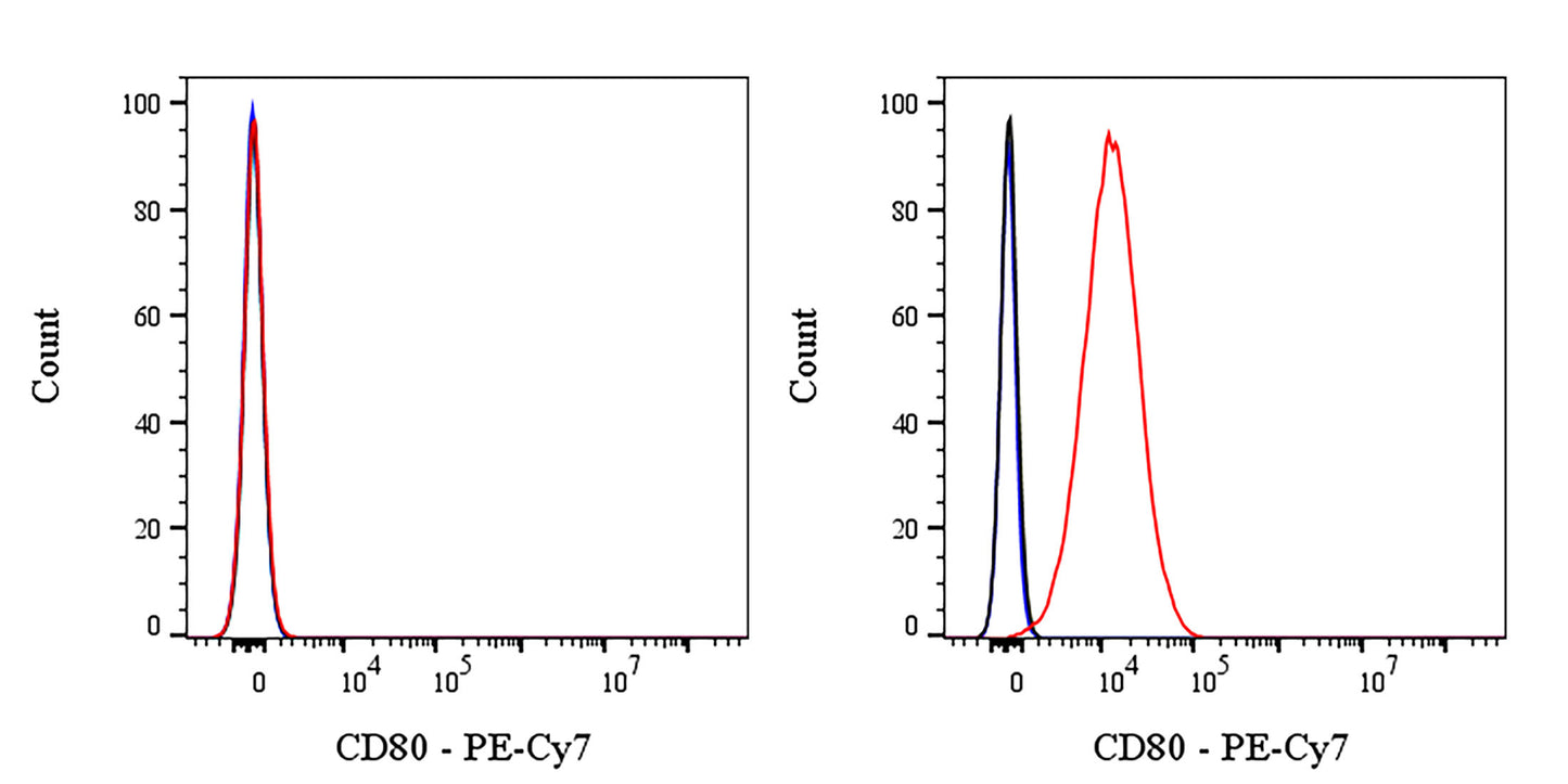 PE-Cy7 Mouse Anti-Human CD80 Antibody (S-3119)