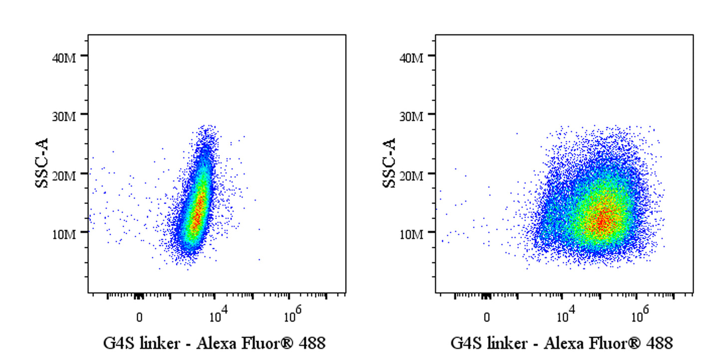 G4S linker Recombinant Rabbit mAb (Alexa Fluor® 488 Conjugate) (S-5030)