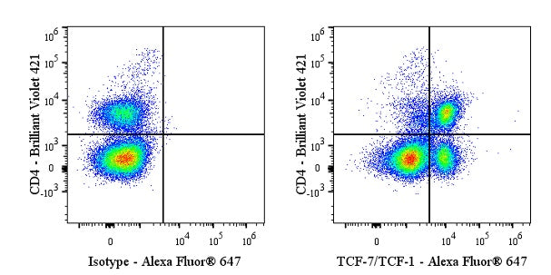Alexa Fluor® 647 Mouse Anti-Human/Mouse TCF-7/TCF-1 Antibody (S-4484)