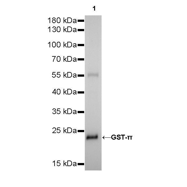 Product image media