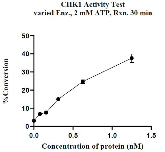 CHK1 GST Tag Protein, Human