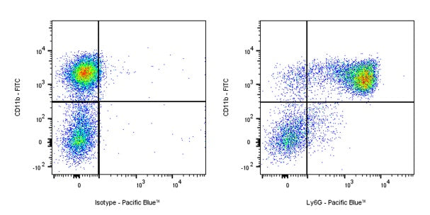 Pacific Blue Rat Anti-Mouse Ly6G Antibody (1A8)