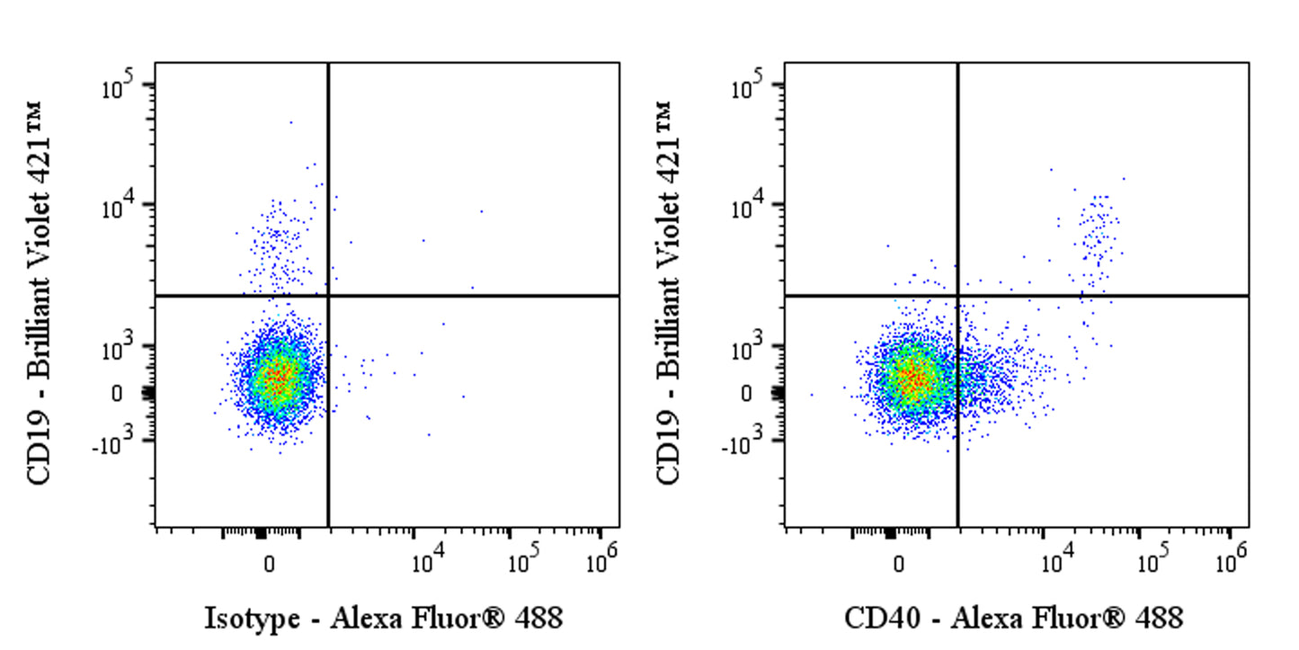 Invivo anti-Human CD40 Recombinant mAb