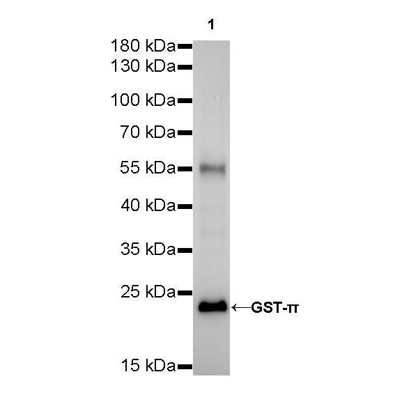 Product image media