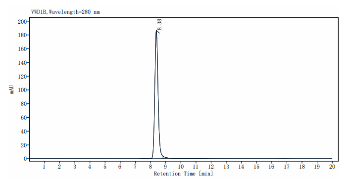 Transthyretin/Prealbumin His Tag Protein, Human
