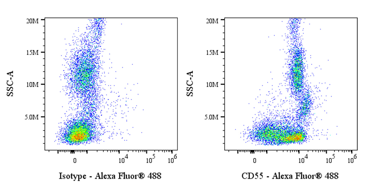 Alexa Fluor® 488 Mouse Anti-Human CD55 Antibody (S-3120)