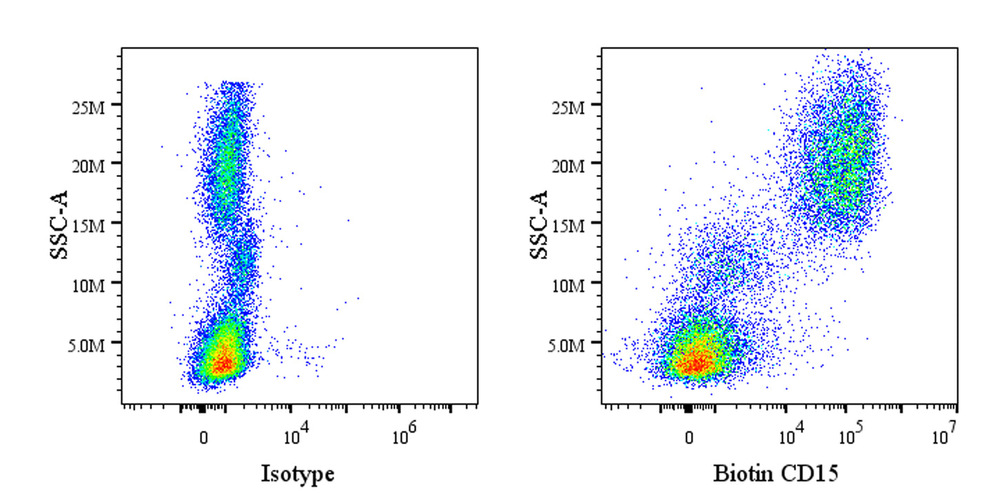 Biotin Mouse Anti-Mouse/Human CD15 Antibody (MC-480)