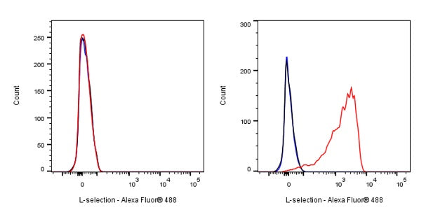 L-selectin Recombinant Rabbit mAb (S-1164-30)