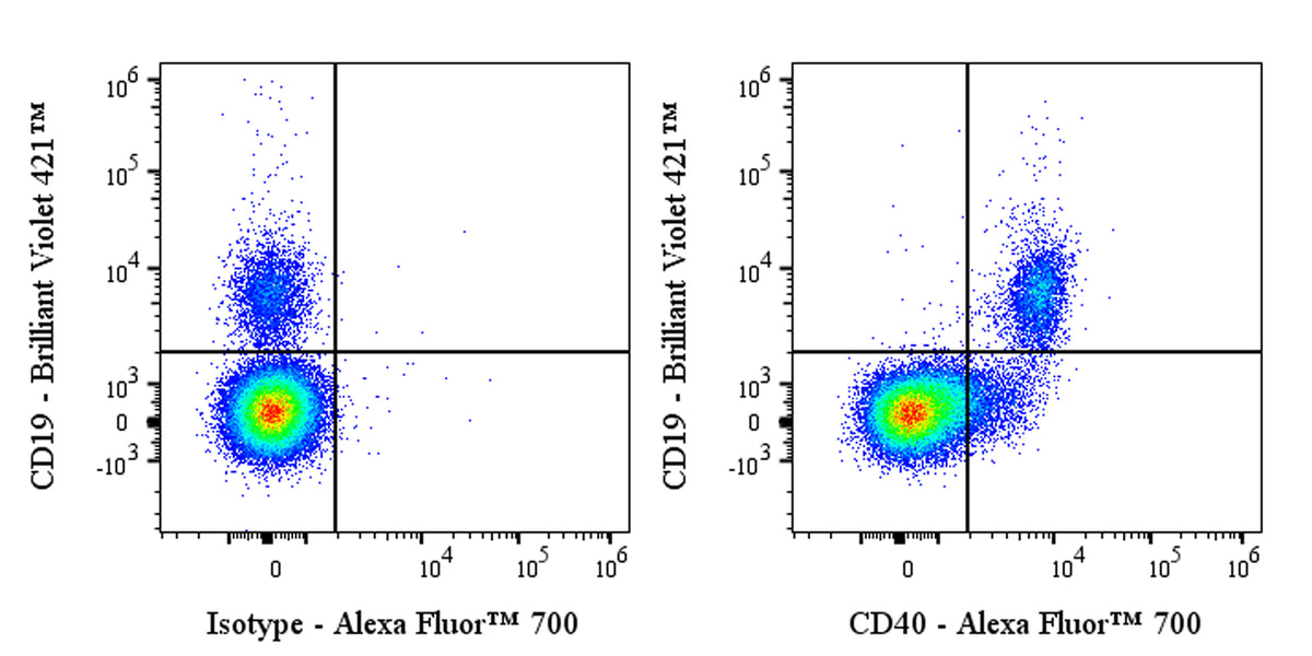 Alexa Fluor® 700 Mouse Anti-Human CD40 Antibody (G28.5)