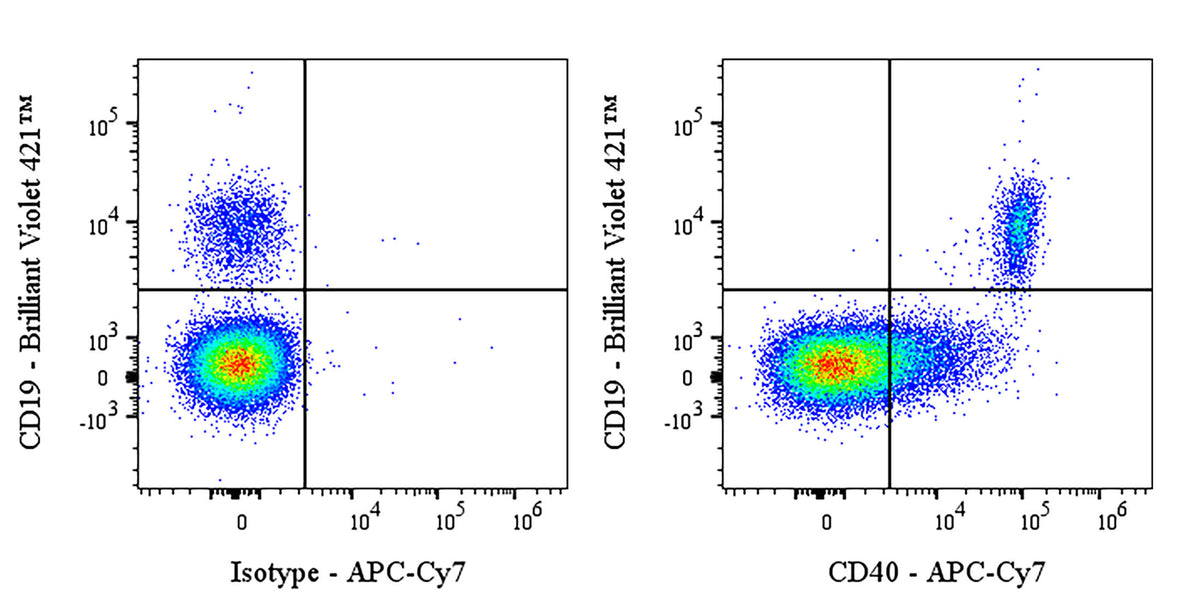 APC-Cy7 Mouse Anti-Human CD40 Antibody (G28.5)