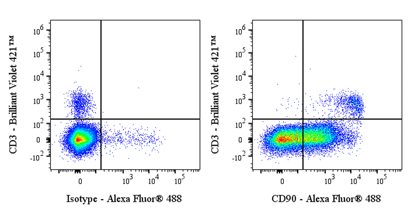 Alexa Fluor® 488 Rat Anti-Mouse Thy1 (CD90) Antibody (S-4038)