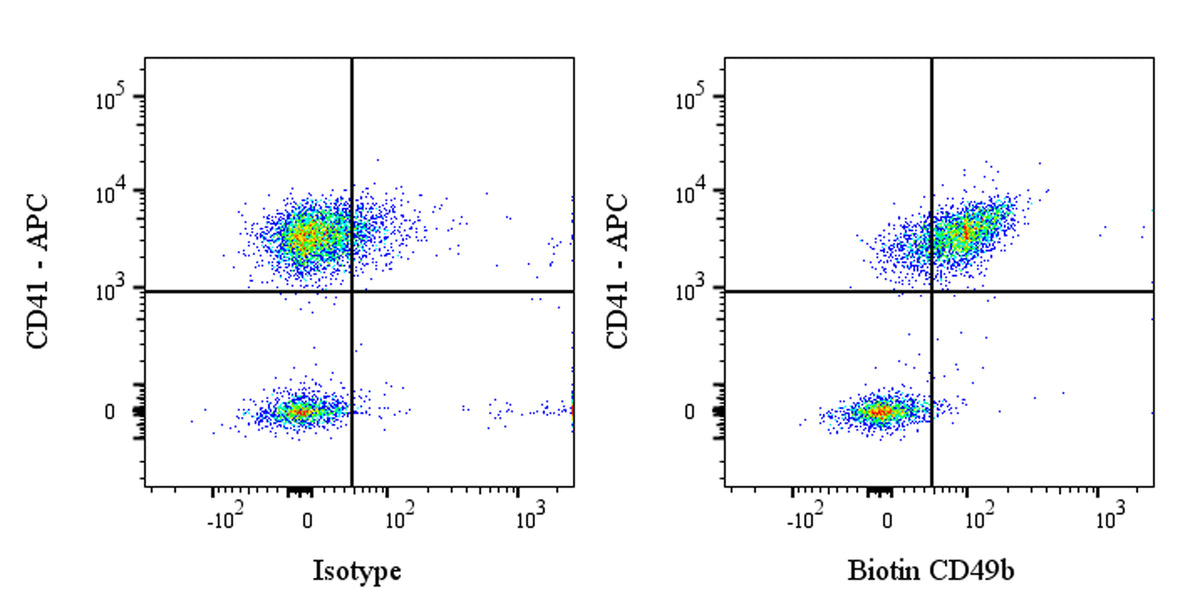 Biotin Mouse Anti-Human CD49b Antibody (S-6067)