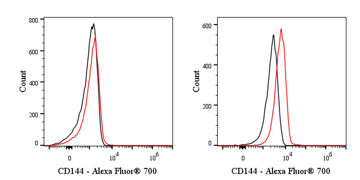 Alexa Fluor® 700 Rat Anti-Mouse CD144 Antibody (S-R719)