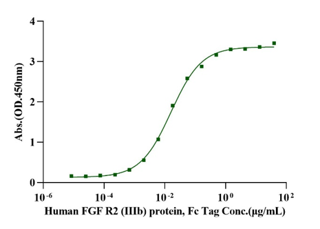 FGF-9 Protein, Human
