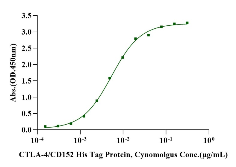 Biotinylated B7-1 Fc&Avi Tag Protein, Human