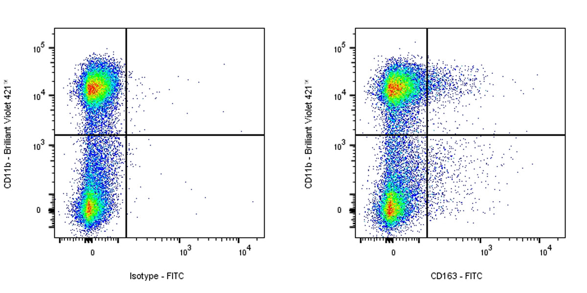 Rat Anti-Mouse CD163 Antibody (S-R608)