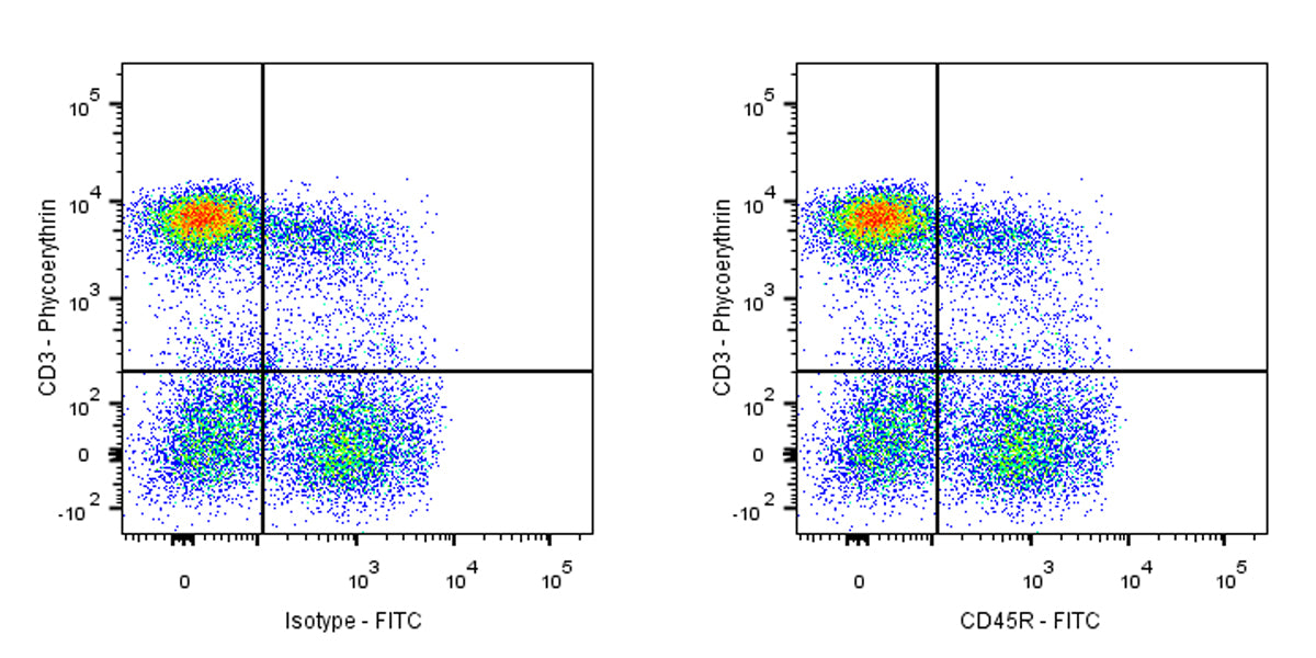 FITC Mouse Anti-Rat CD45R Antibody (HIS24)