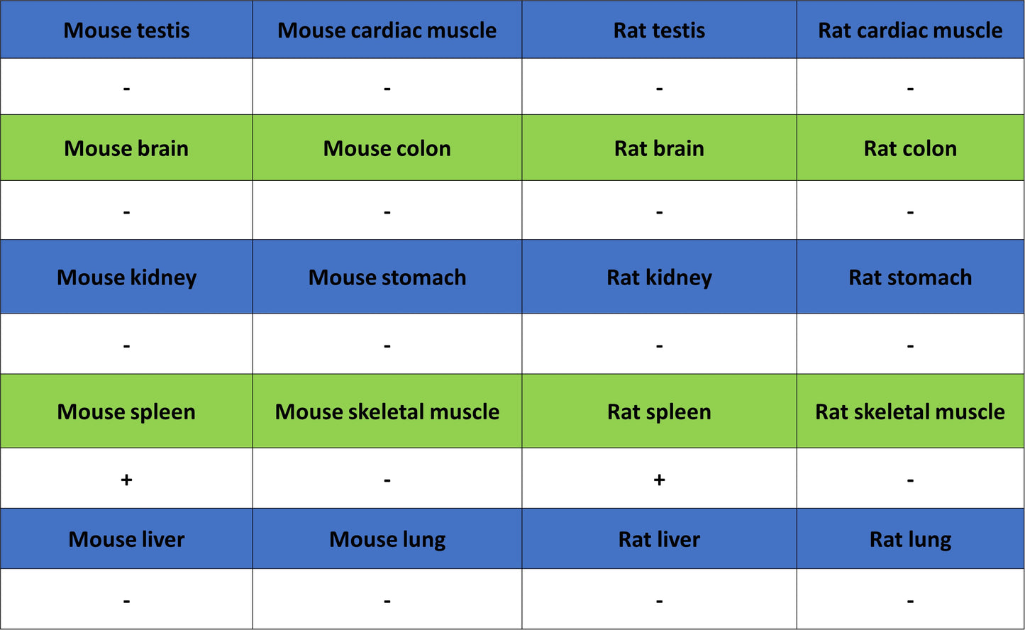 Thrombospondin 1 Recombinant Rabbit mAb (S-4153-22)
