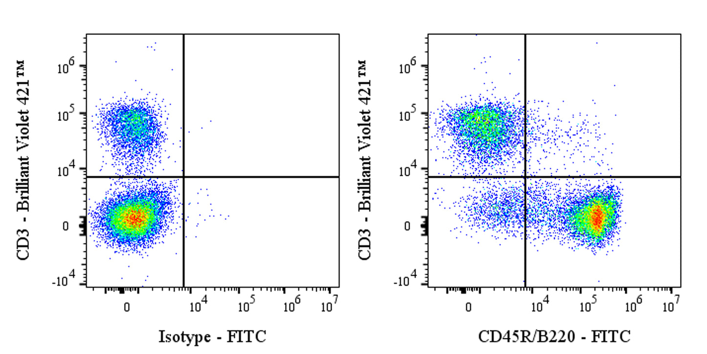 FITC Rat Anti-Mouse CD45R/B220 Antibody (RA3.3A1/6.1)
