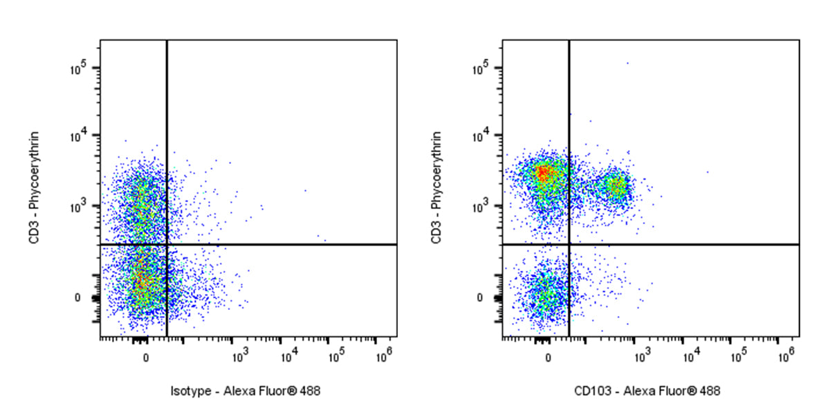 Alexa Fluor® 488 Armenian hamster Anti-Mouse CD103 Antibody (S-R692)