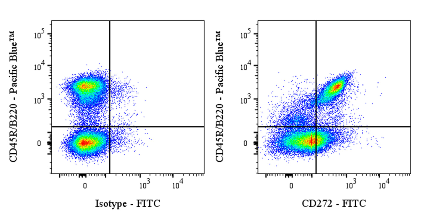 FITC Armenian Hamster Anti-Mouse CD272 Antibody (6A6)