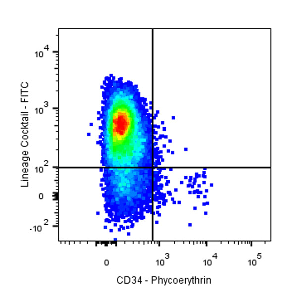 PE Mouse Anti-Human CD34 Antibody (4H11)