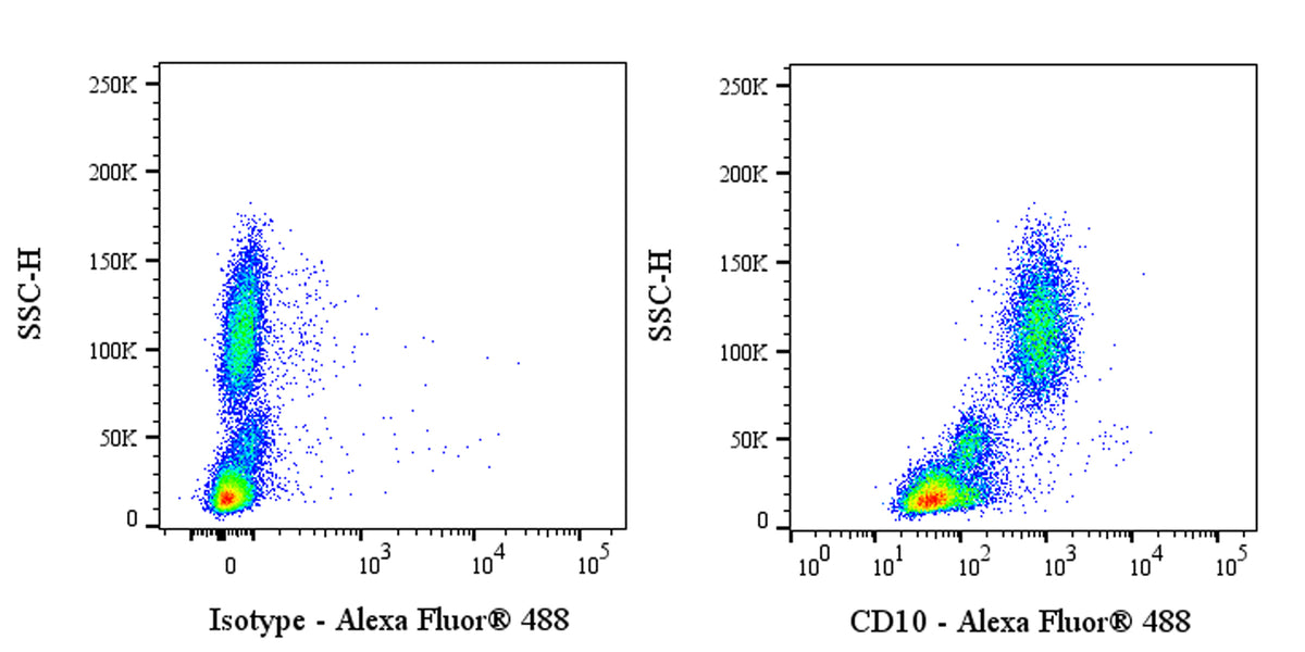 Mouse Anti-Human CD10 Antibody (HI10a)