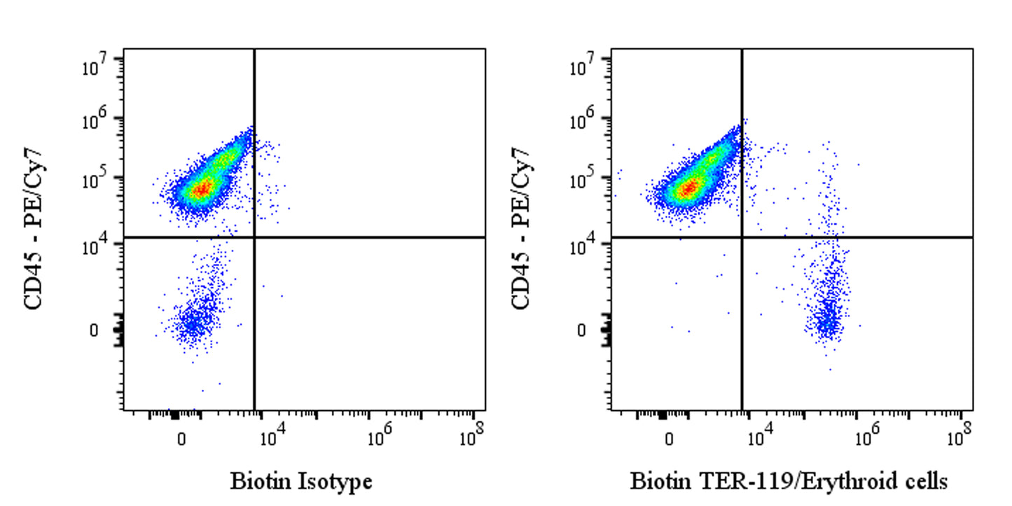 Biotin Rat Anti-Mouse TER-119/Erythroid Cells Antibody (TER-119)